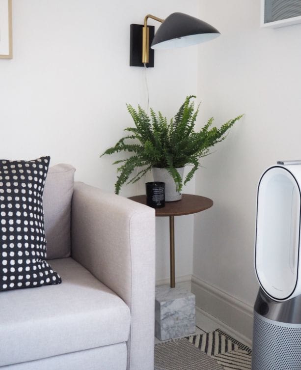Cream sofa next to plant on stand with overhead lamp and dyson fan